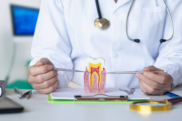 Best Pediatric Emergency Dentist in Hartley, CA